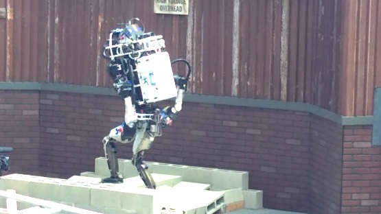 Walking robot